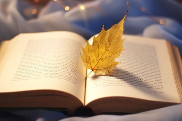 2024广东茂名幼儿师范专科学校在广西招生计划