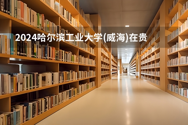 2024哈尔滨工业大学(威海)在贵州招生计划