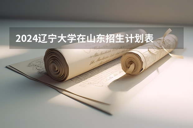 2024辽宁大学在山东招生计划表