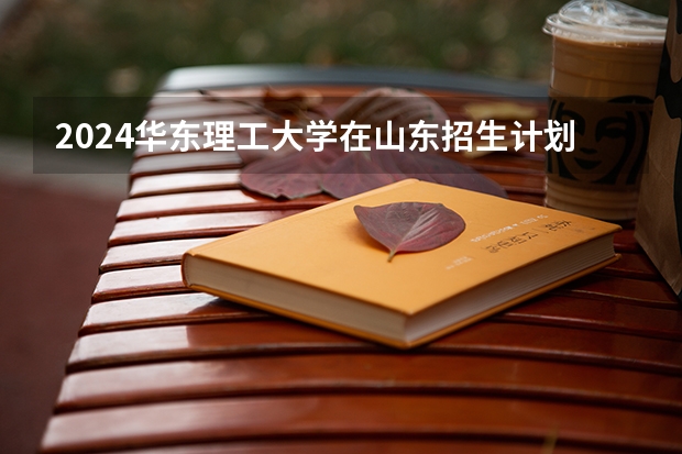 2024华东理工大学在山东招生计划表