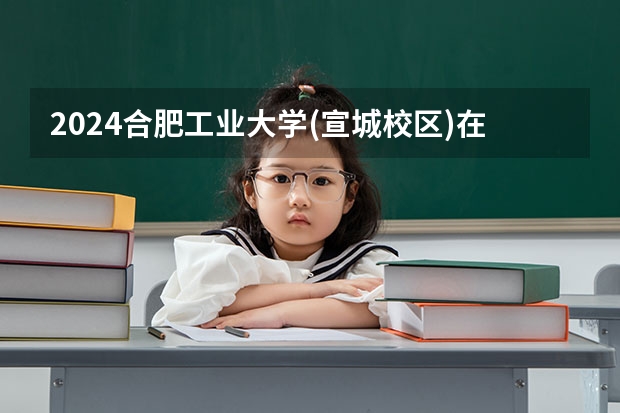 2024合肥工业大学(宣城校区)在四川招生计划表