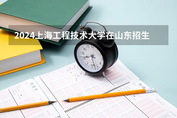 2024上海工程技术大学在山东招生计划表