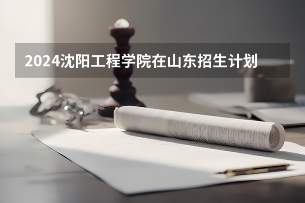 2024沈阳工程学院在山东招生计划表