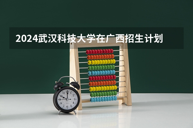 2024武汉科技大学在广西招生计划