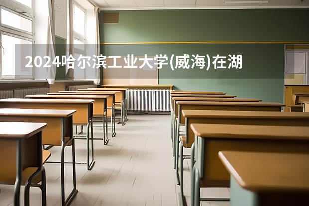 2024哈尔滨工业大学(威海)在湖南招生计划