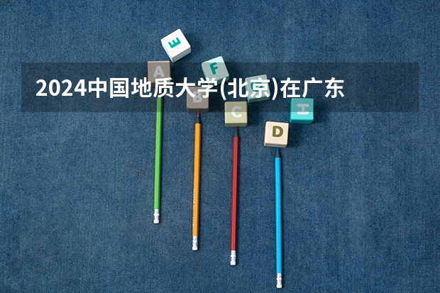 2024中国地质大学(北京)在广东招生计划