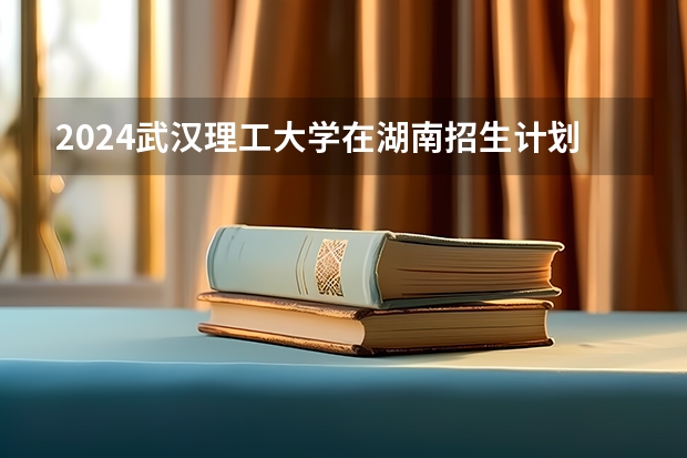 2024武汉理工大学在湖南招生计划