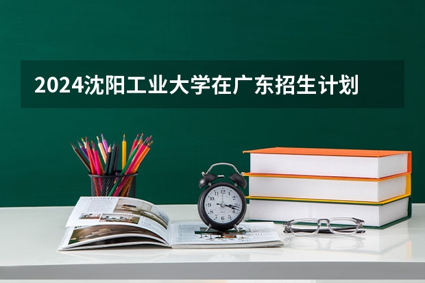 2024沈阳工业大学在广东招生计划