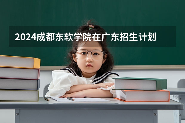 2024成都东软学院在广东招生计划