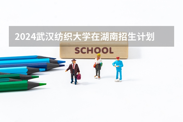 2024武汉纺织大学在湖南招生计划