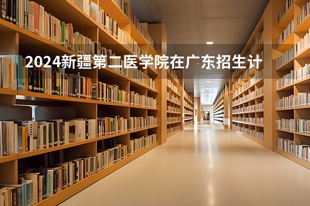 2024新疆第二医学院在广东招生计划