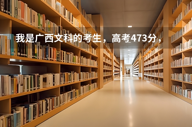 我是广西文科的考生,高考473分,请问能有那所学习南宁市学校能录取几率大呢?