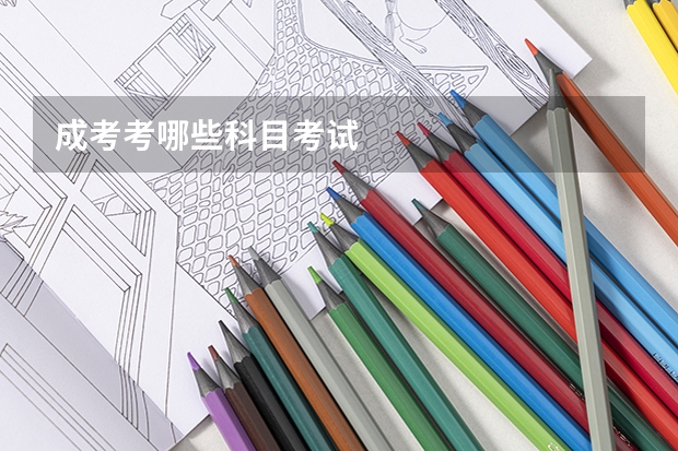 成考考哪些科目考试