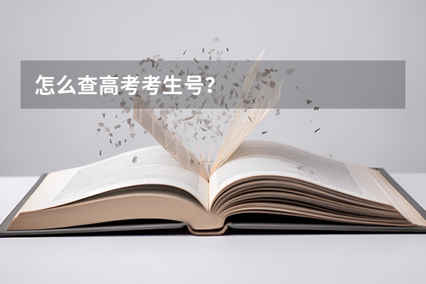 怎么查高考考生号?