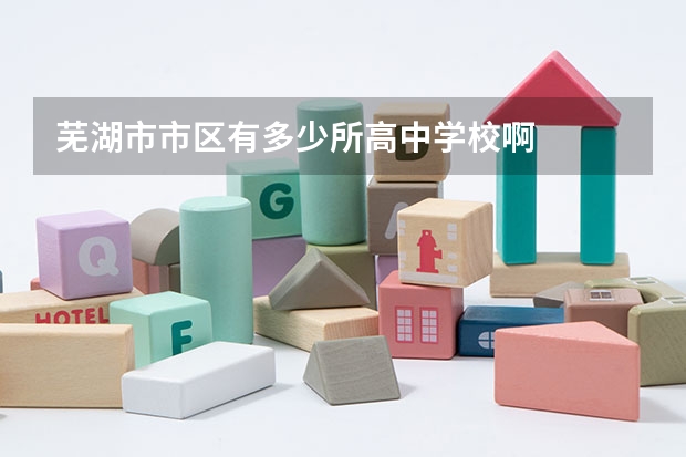 芜湖市市区有多少所高中学校啊