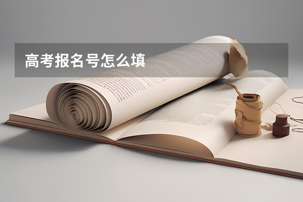 高考报名号怎么填