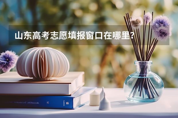 山东高考志愿填报窗口在哪里?