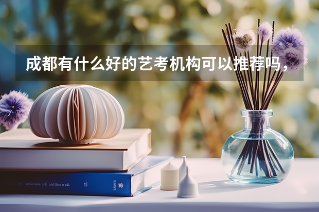 成都有什么好的艺考机构可以推荐吗,妹妹明年就高考了?