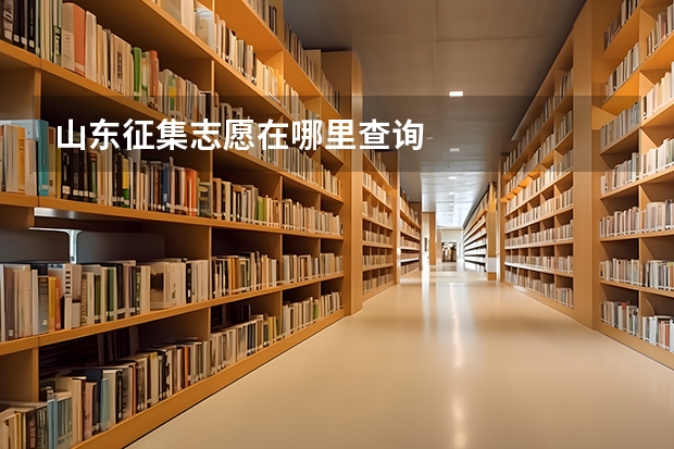 山东征集志愿在哪里查询