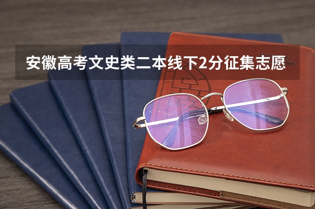 安徽高考文史类二本线下2分征集志愿能上吗?