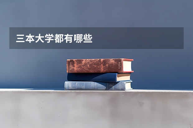 三本大学都有哪些