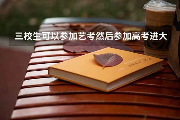三校生可以参加艺考然后参加高考进大学吗