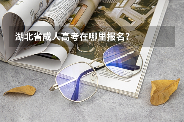 湖北省成人高考在哪里报名?