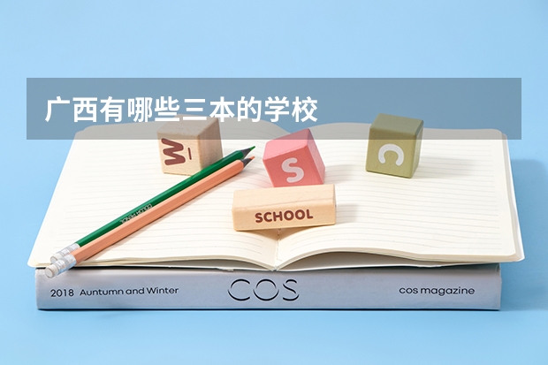 广西有哪些三本的学校