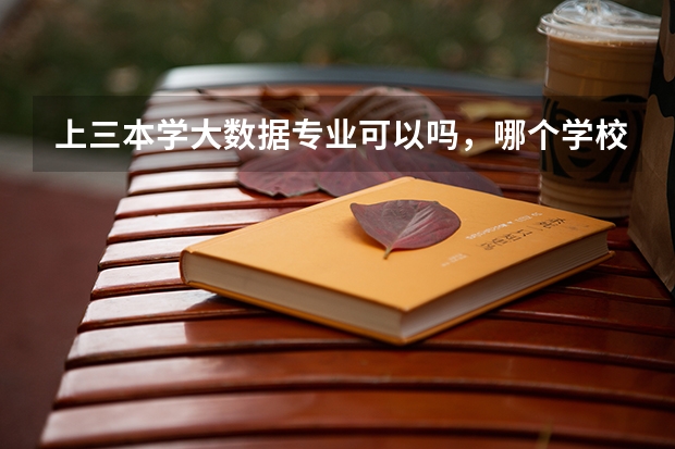 上三本学大数据专业可以吗,哪个学校的这个专业相对比较成熟一点