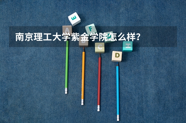 南京理工大学紫金学院怎么样?