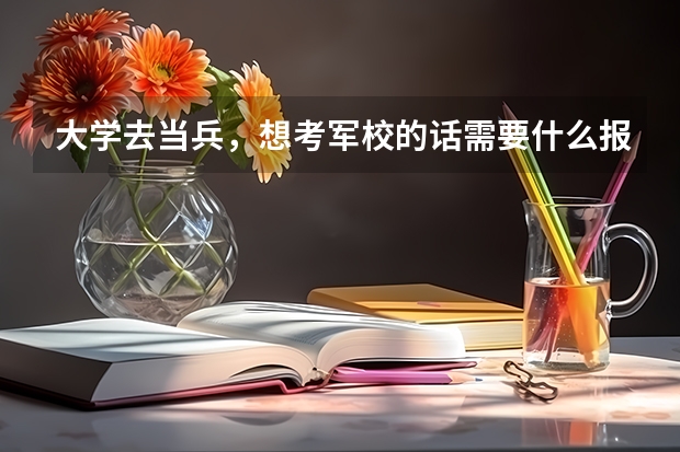 大学去当兵,想考军校的话需要什么报考流程?是每一个报名的人都可以考么?