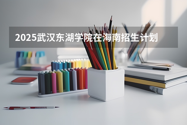 2025武汉东湖学院在海南招生计划预测