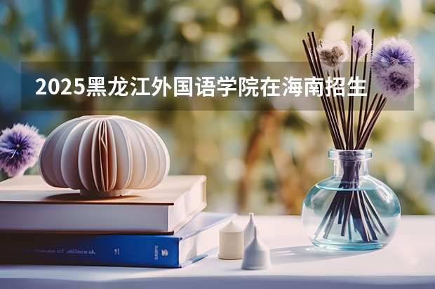 2025黑龙江外国语学院在海南招生计划预测