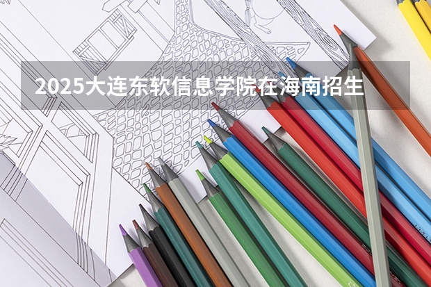 2025大连东软信息学院在海南招生计划预测