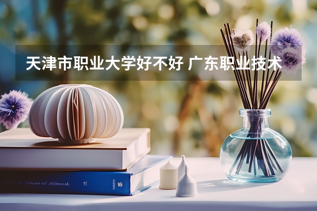 天津市职业大学好不好 广东职业技术学院排名