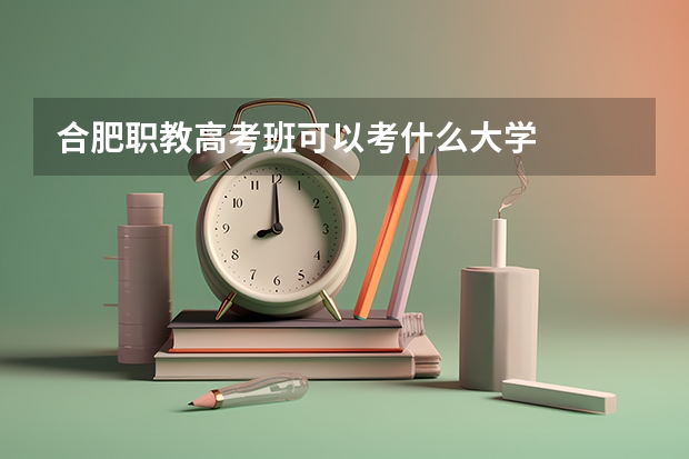 合肥职教高考班可以考什么大学