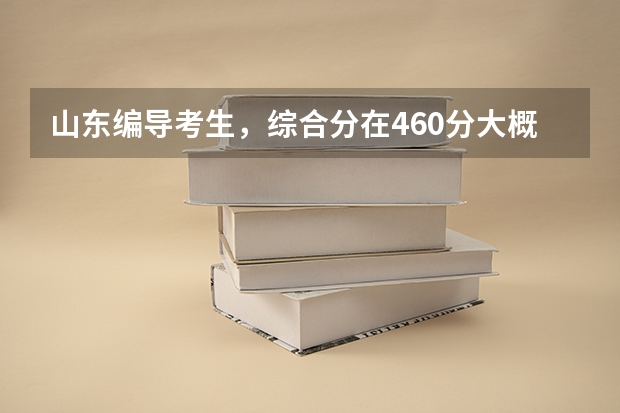 山东编导考生，综合分在460分大概可以上什么样的本科，公办本科有希望吗？