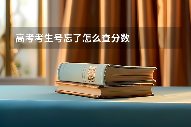 高考考生号忘了怎么查分数