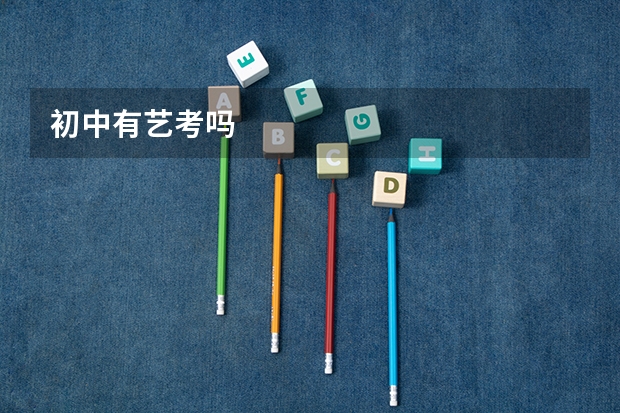 初中有艺考吗