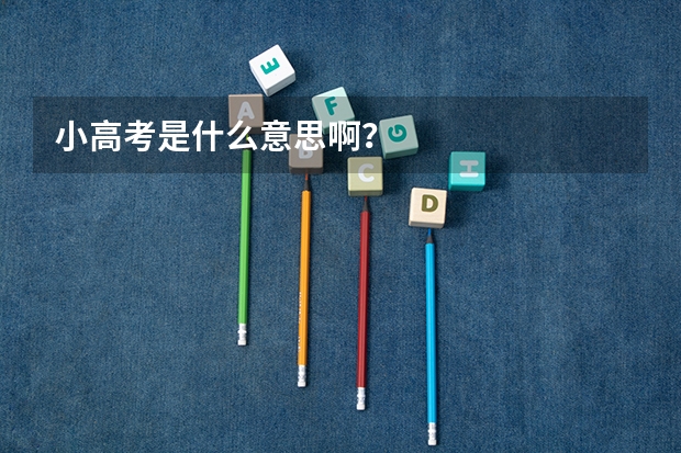 小高考是什么意思啊?
