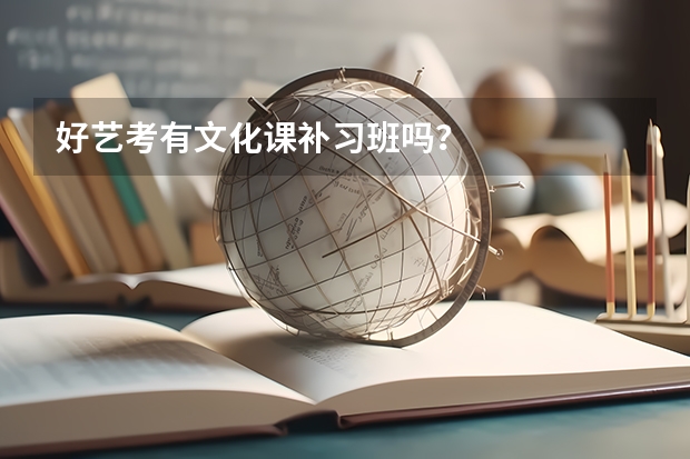 好艺考有文化课补习班吗?