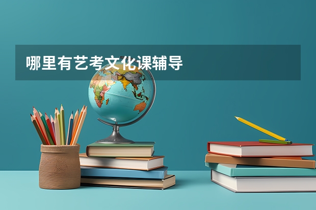 哪里有艺考文化课辅导