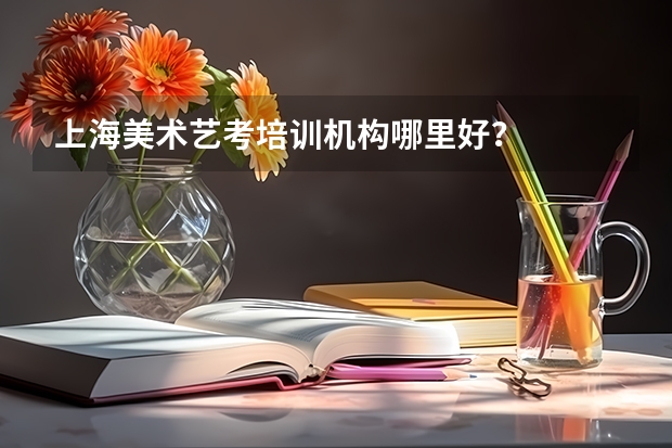 上海美术艺考培训机构哪里好？