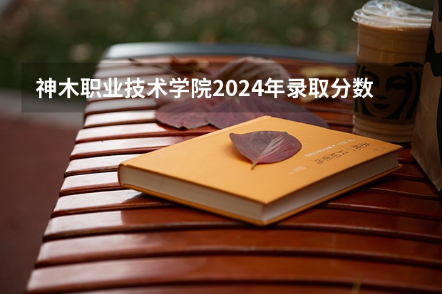 神木职业技术学院2024年录取分数线汇总