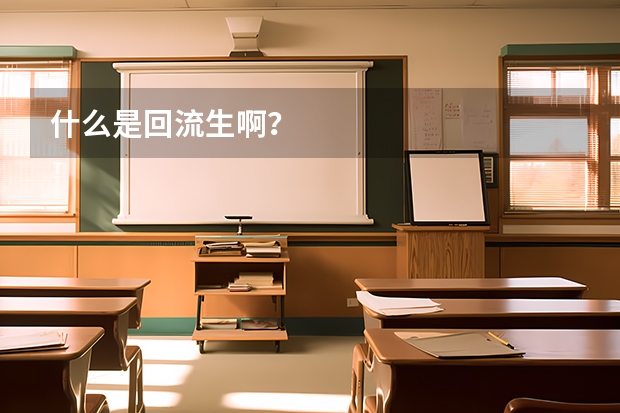 什么是回流生啊?